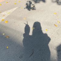 original sound - AutumnRoadCiCi