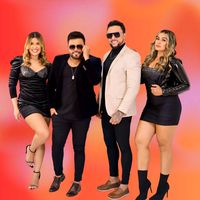 fasdamalla100alca
