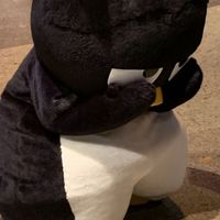 naa.714