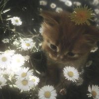 poesias_escritas_369