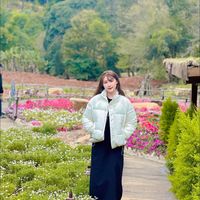 nhạc nền - Chiếc tiệm nhỏ 🌽