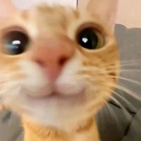 original sound - .....