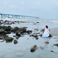 nusratjahanrohi00