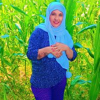 riyariya5049