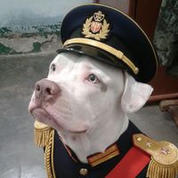 Ay que bombón by Liko