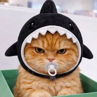 saak_miau