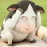 sirrio_001