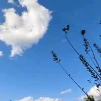 เสียงต้นฉบับ - Aem🍃