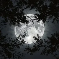 original sound - oldgeneration03