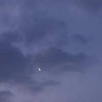 オリジナル楽曲 - °˖✧ゆりしか✧˖°
