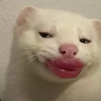 original sound - lynenard