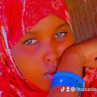 libaxadawarsanistar0