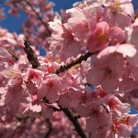 湘爆名シーン