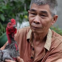 nhạc nền - Gã Đầu Bạc HP 🐓
