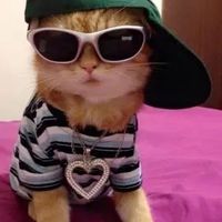 yo.its.arad
