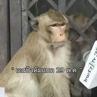 Jungeunhanedit