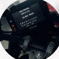 ______almarica09