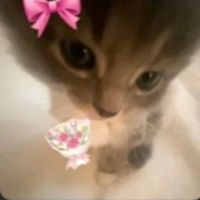 samantha.santiago70