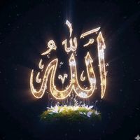 muhammedhacahmedd