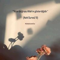 orijinal ses