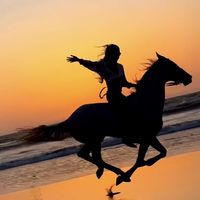 الصوت الأصلي