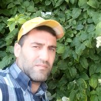 user8233245131457