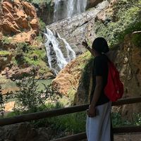 clark_tineitz