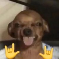 jetaimeo_o