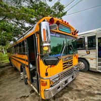 buseshn504oficial
