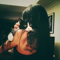 original sound - lnkwif