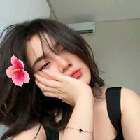 aina444519