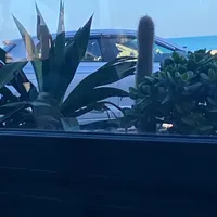 original sound - nourhenepyassine