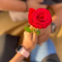 original sound - princesareemo