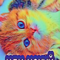 insaerof0xxxshshshah