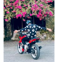 rex_fahim_