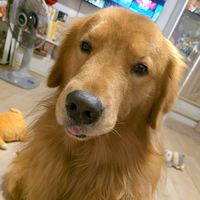 lucaboyandwiwi