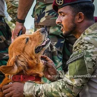 original sound - squadx911