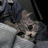 nhạc nền - Kiet Phann