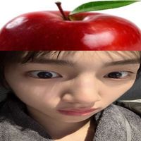 applewithsugaronthetop