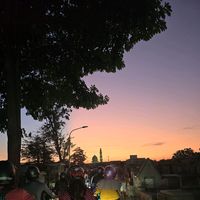 suara asli - widdddd