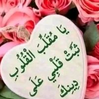 user7499840813719
