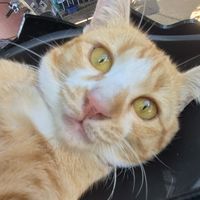 เสียงต้นฉบับ - J48