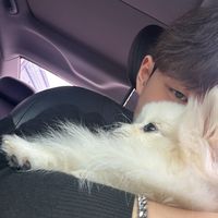 오리지널 사운드 - 뭉치는 야옹야옹
