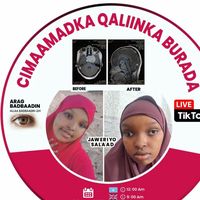 marwo_kuusey