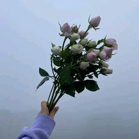 mojza_.fatima0