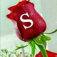 stariq78