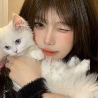 nhạc nền - kimlinhshop