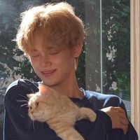 오리지널 사운드 - 최연준