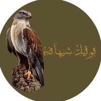 bt.shihana