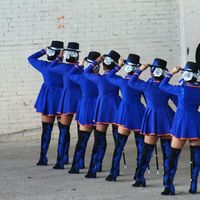 palicutrinas
